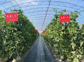 微信图片_2025-08-11_123628_804